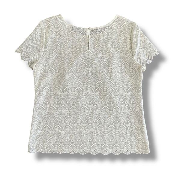 LOFT White Lace Blouse Medium Scallop Hem Short Sleeve Crochet Top Ivory - Picture 6 of 9